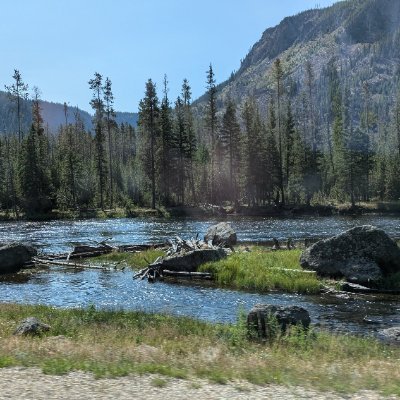 d1_dude's profile picture. 