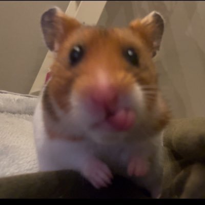 ミーハーな上におしゃべり