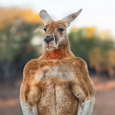 RDAKTED88's profile picture. 