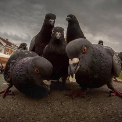 ItsBeler's profile picture. Tempat ngawurkeun eusi mastaka hungkul bro ieumah, soalna seeul katahan na beuheung.