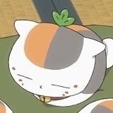 m ⋆˚꩜。 (@studycoffee_) 's Twitter Profile