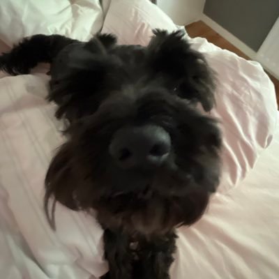 cleb_cs2's profile picture. Cs2 skin trader