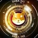 PKhatar7003's profile picture. 