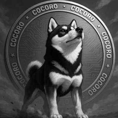 Juliecookpco's profile picture. 