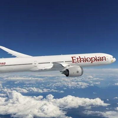 FreMolla's profile picture. Living with purpose, guided by passion!