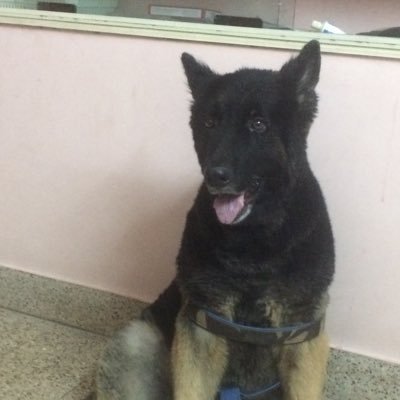 rsnarayan's profile picture. Like to Enjoy life. But sometimes takes everything seriously. Love playing Golf and have a nice Single Malt