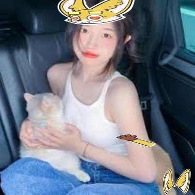 bts7_official's profile picture. 名古屋で活動している BTS7です                                                                   GOT7 ．BTS coverSahara #0133703