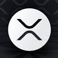 MMess1512908's profile picture. 