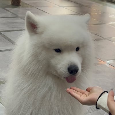 mr_cu_s2's profile picture. 20↑ #추영우 춘하˗ˏˋ추ˎˊ˗ 동 매순간 행복하길 바랄게🍀