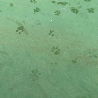 0814yukichi0223's profile picture. s水さん→m奥さん→i上 やればできる！未来のために✨