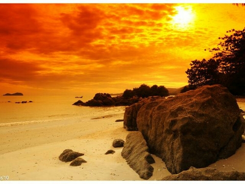 LauraSerranoLaf's profile picture. 