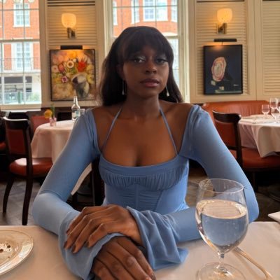 she/her | law, politics & critical race theory🇳🇬 #BLM