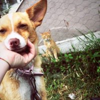 bkstskedı (@symackgz) Twitter profile photo