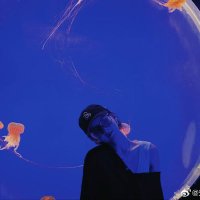 📁 (@janexfilms) 's Twitter Profile Photo