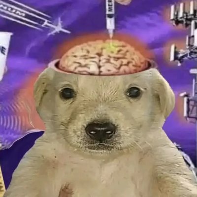 Хитрый Дмитрийさんのプロフィール画像