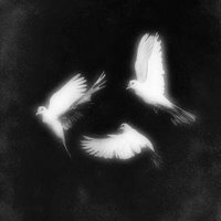 VICTOR.⛰️ (@victorandink) 's Twitter Profile Photo