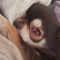 jade (@jade_valgz) 's Twitter Profile Photo jade (@jade_valgz) 's Twitter Profile Photo
