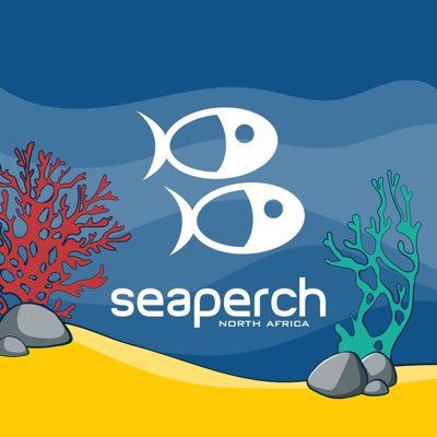 SeaPerch is an underwater robotics challenge that prepares the students to build a Remotely Operated underwater Vehicle (ROV) for submarine missions.