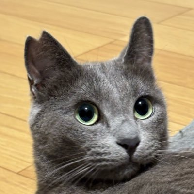 伊賀さんのプロフィール画像