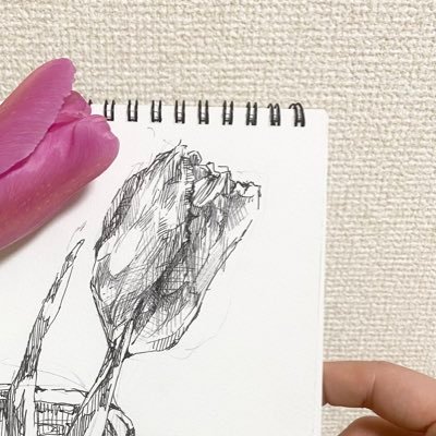 sachikoさんのプロフィール画像