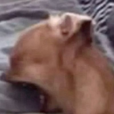 mani2705_'s profile picture. 