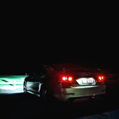 skovalRL's profile picture. 🇺🇦 21