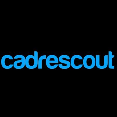 CadreScout's profile picture. Salesforce | Solutions | Company