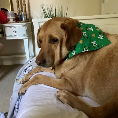 AlxsDep's profile picture. 