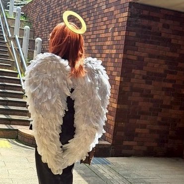 20↑cos/多ジャンル