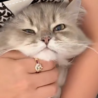 nddaton's profile picture. وهّابًا لما تصبِر ✨