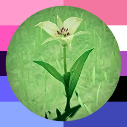 ogmondstadtbard's profile picture. to the heavens may you fly. || parody/rp acc for nameless bard, mun will use // or 🪽, read 📌 and at least admin info on sp