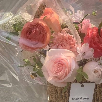 mm12dy's profile picture. 