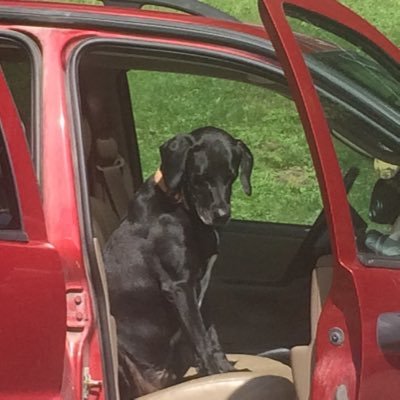 JJT23241351's profile picture. Telling it like it is