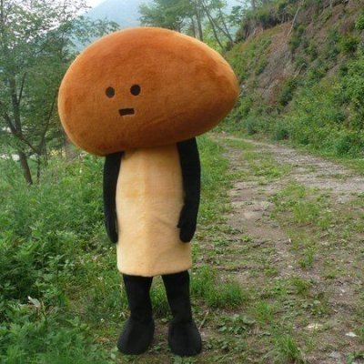 midnightmeowx2's profile picture. don't forget to sip cold water at 2 a.m.