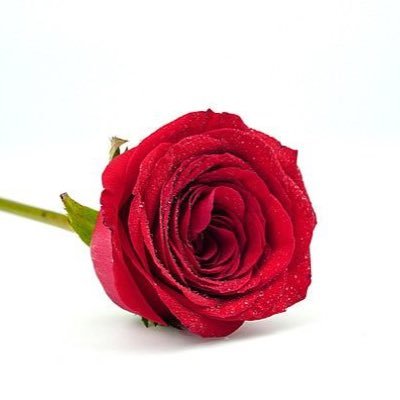 fa20302021's profile picture. 