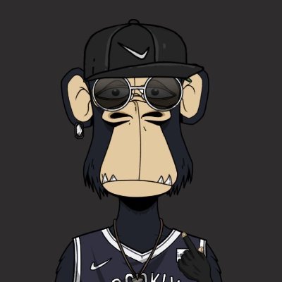 wizehaushq's profile picture. Community moderator | Graphics designer 💼