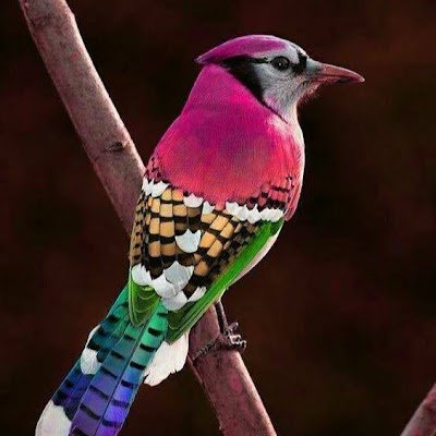 MaysoonAbu13188's profile picture. 