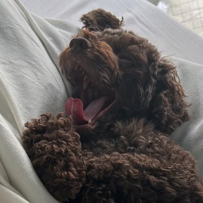 KAIcpa49's profile picture. CPA新宿/25年目標/既卒専念/R6Ⅱ 77.2%❌→R7Ⅰ 81.6％🌸 →8月論文！/縮小→@shell04cpa