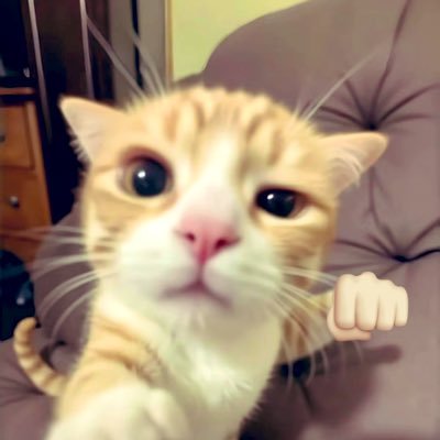 DavidAbel30's profile picture. i am meowing(#^.^#).