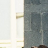 Zachery Walters (@walterszac36997) 's Twitter Profile