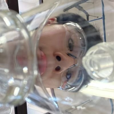 txnggmz's profile picture. 
