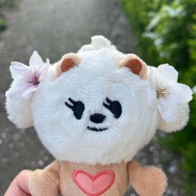 04(03) |ボムギュ 🧸 | ウプズ🫶🏻