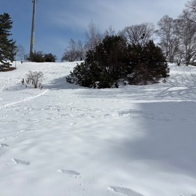 meijing_meiji's profile picture. 明大落研1年