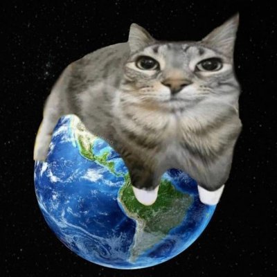 trueanon0x's profile picture. posting TA daily | memecoin maxi | nWo