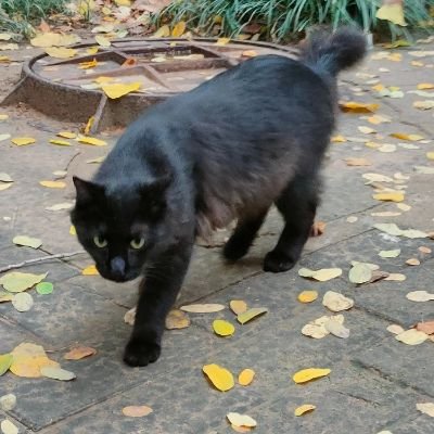 wenka666's profile picture. 最近在尝试修图～