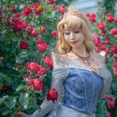 @aurora_lily1112