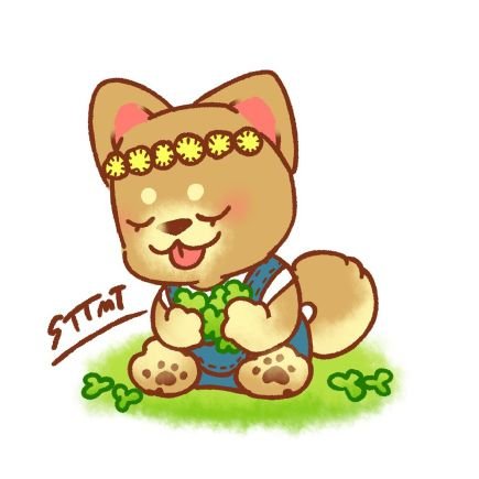 STTMT(通称スティ)さんのプロフィール画像