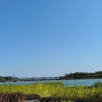 wow1884124's profile picture. 