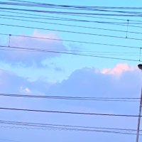 蒼空 (@sora_mini_06) 's Twitter Profile