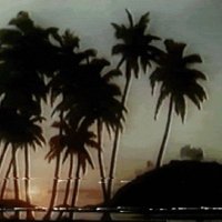 cali (@myinterludefory) 's Twitter Profile